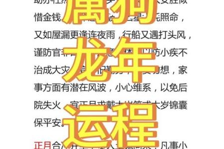 82年属狗人的命运与性格解析