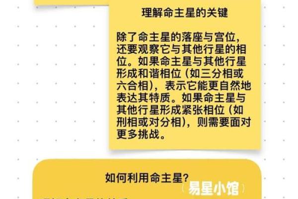 1960年出生者的命格解析：探索人生的独特轨迹与机遇