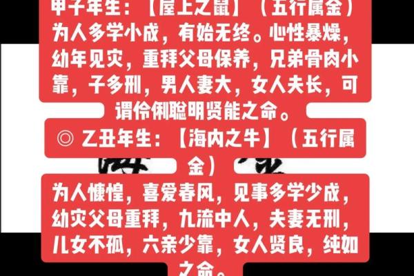 深度解析：算命所测的命格与命运之谜