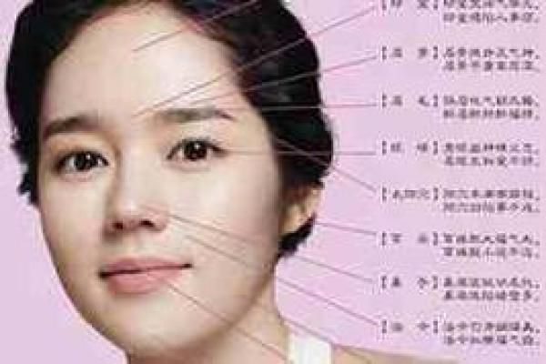 颧骨宽的人命运解析：运势与性格的秘密揭示