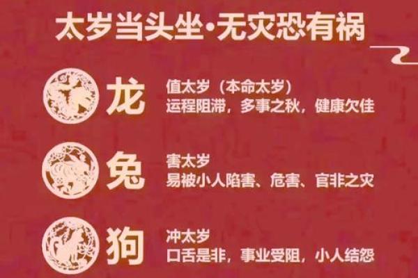 颧骨宽的人命运解析：运势与性格的秘密揭示