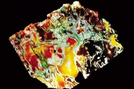 山头火命纹：探索自然与生命的结合之美