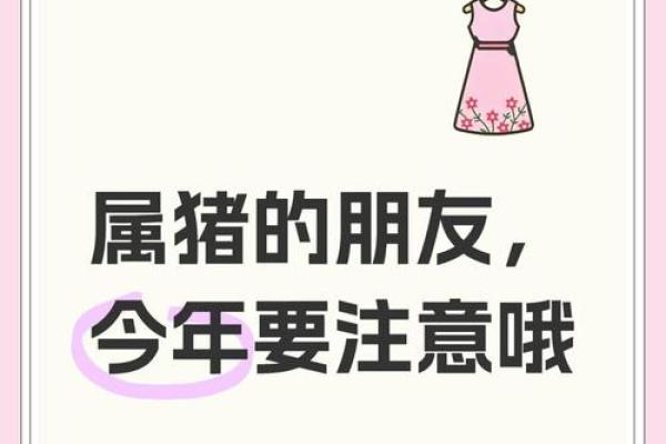 26岁属猪的命：好运与挑战并存的奇妙旅程