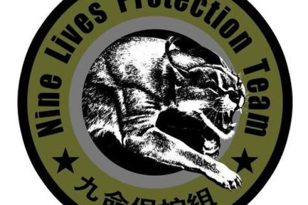 神秘九命保镖：暗器的魅力与用途探索