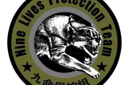 神秘九命保镖：暗器的魅力与用途探索