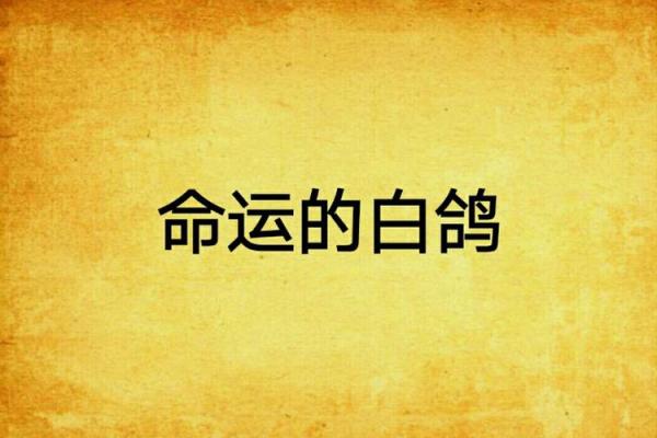 女人白鸽命：优雅与智慧并存的命运之旅