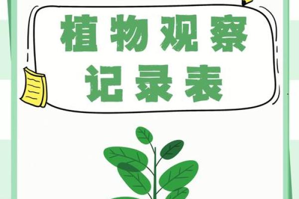 探秘“几条命”的说法:生命的奇妙与深刻意义 探秘“几条命”的说法:生命的奇妙与深刻意义