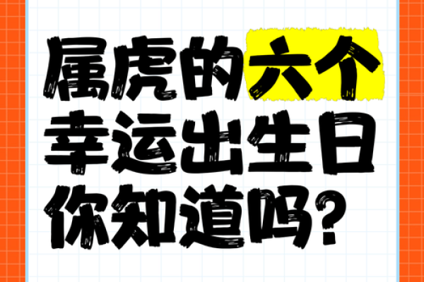 98年属虎的命运：勇猛与灵动的完美结合