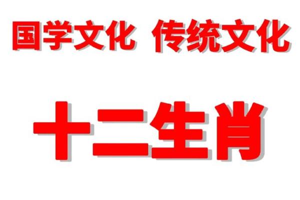 农历1996年出生，属鼠的命运与性格剖析
