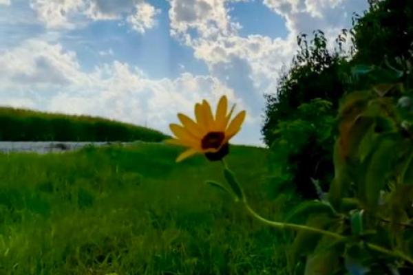 2004年正月十八:那一刻的温暖与希望 2004年正月十八:那一刻的温暖与希望