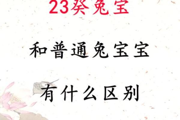 2023年兔年命运揭示:探索兔子的性格与命理奥秘 2023年兔年命运揭示:探索兔子的性格与命理奥秘