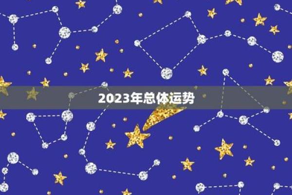 1991年出生的你,2023年运势如何?命运解码! 1991年出生的你,2023年运势如何?命运解码!