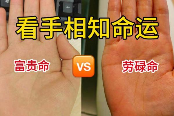 算命手相的奥秘：如何通过手相解读你的命格与未来