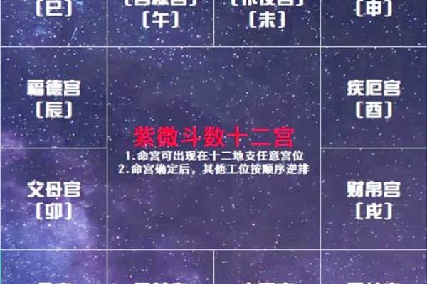 如何判断一个人属于什么命，揭示命运的奥秘与启示