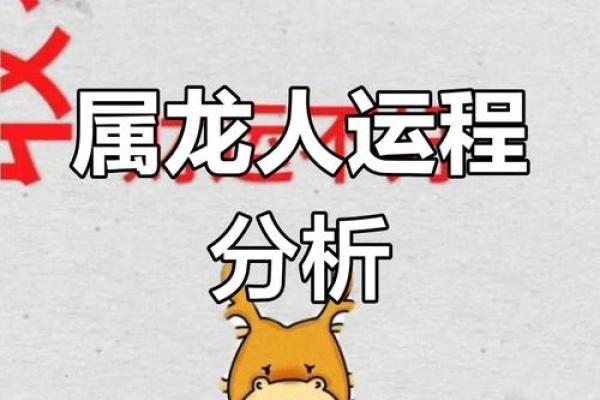 属大龙23岁，探索命理的奥秘与人生的精彩旅程