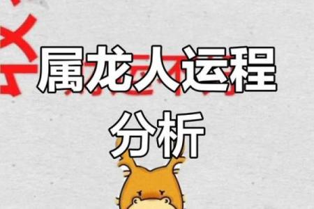 属大龙23岁，探索命理的奥秘与人生的精彩旅程