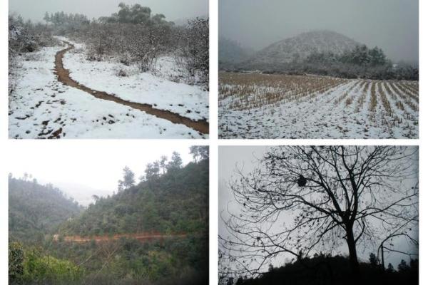 1951年：走过的岁月，记忆中的风景与故事