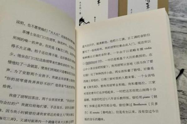 岁命的深意：探讨生命与时间的交织之美