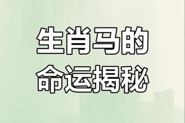 1954年出生的马：命运、性格与人生轨迹的深度解析