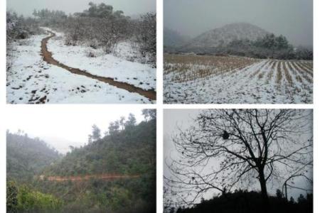 1951年：走过的岁月，记忆中的风景与故事