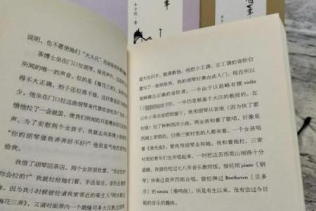 岁命的深意：探讨生命与时间的交织之美