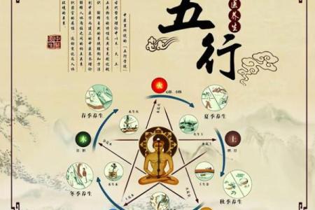 三六零五行属性解析：揭开命运的秘密与发展机遇