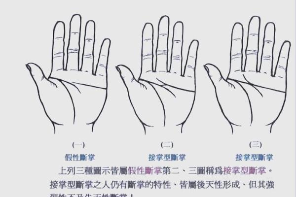 双手断掌手的命运解析：神秘纹路背后的故事与命运!