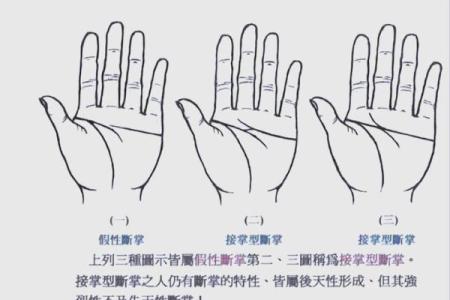 双手断掌手的命运解析：神秘纹路背后的故事与命运!