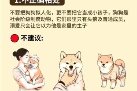 属狗孩子的命理解析：揭示他们的性格与命运