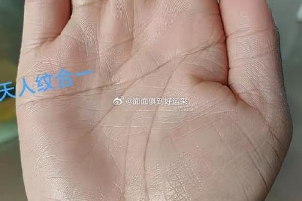 女人右手半断掌的命运解析：掌纹玄机与人生选择