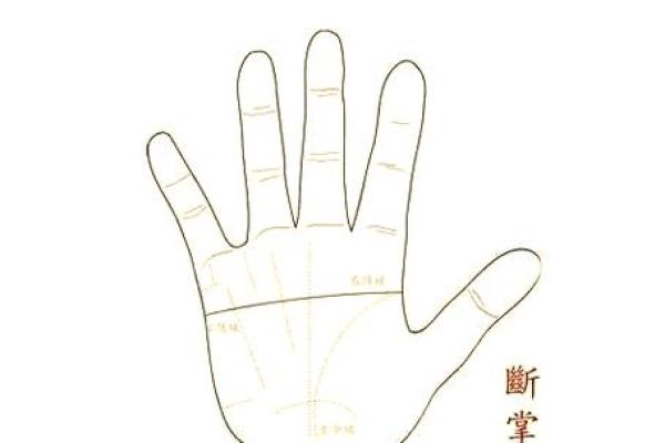 女人右手半断掌的命运解析：掌纹玄机与人生选择