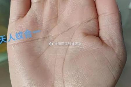女人右手半断掌的命运解析：掌纹玄机与人生选择