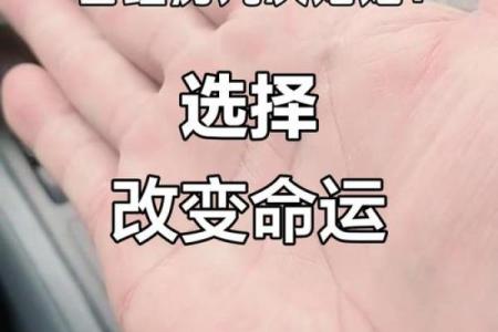 1961年11月：命运的转折点与人生的选择