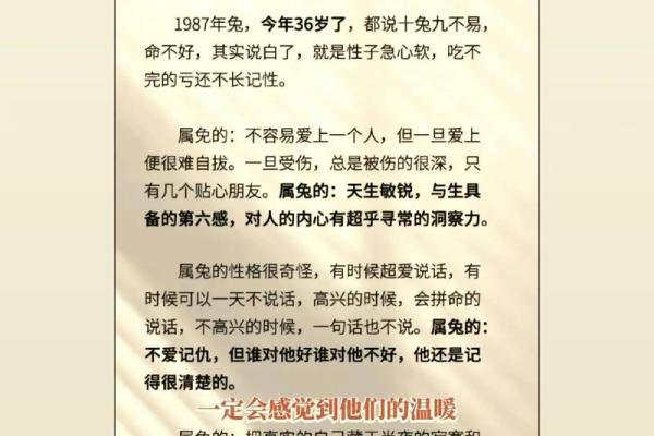 属兔木命的最佳搭配：与谁最匹配？