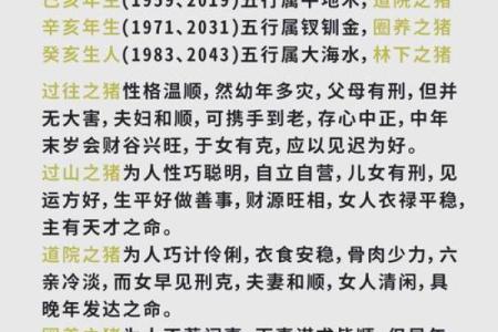 属猪人2019年运势解析：诸事顺遂，福源满满的一年