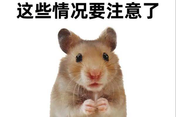 宠物健康危机:九种疾病让我们无能为力! 宠物健康危机:九种疾病让我们无能为力!