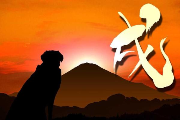 揭秘36属大龙命运的奥秘:你的生肖与命运的深度联系! 揭秘36属大龙命运的奥秘:你的生肖与命运的深度联系!