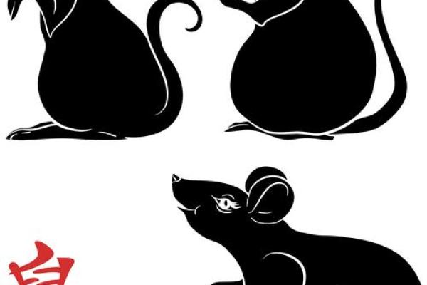 鼠年出生女孩的命运解析：哪些命格最为优秀？