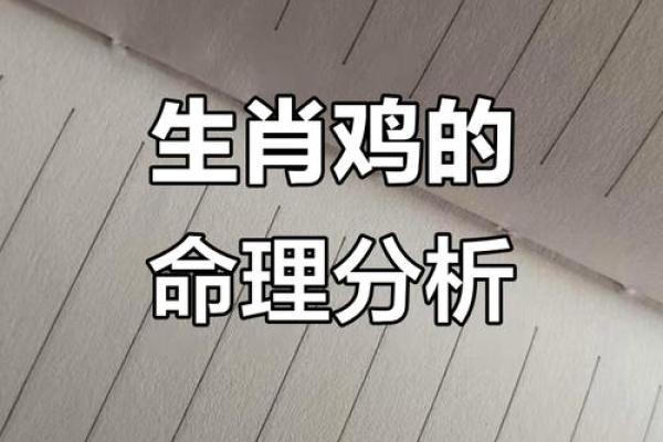 39岁生肖鸡：探索命运与人生智慧的交织之路