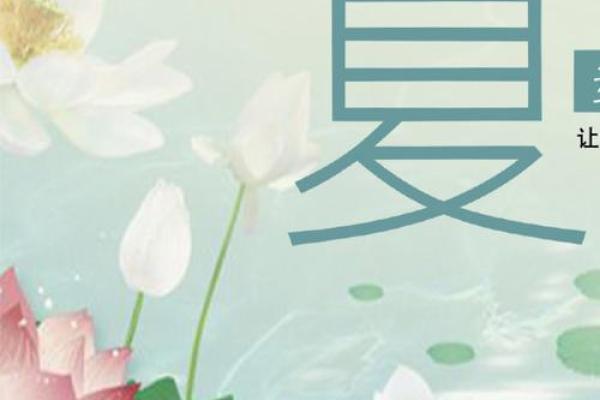 生在夏至的女孩：命运与个性的奇妙交织