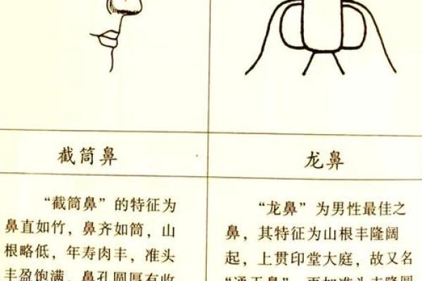 男人鼻梁弯曲的命运象征与人生启示