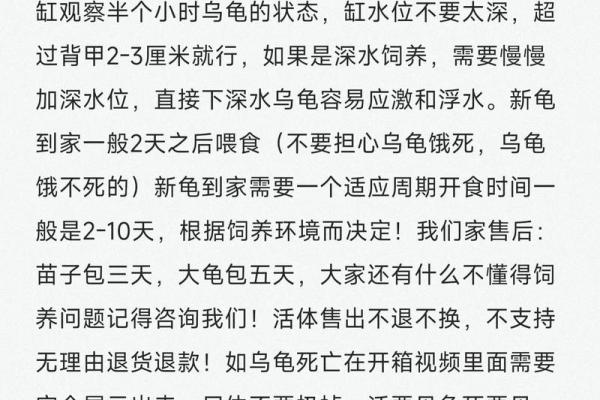 如何通过科学方法培育强壮乌龟，提升养殖效率