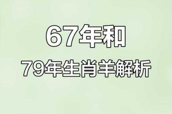 79年出生的人命运解析：命属羊的神秘与魅力