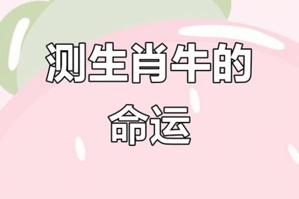 牛年不遇的月份解析：哪几个月牛命尤其不好？