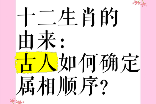 属相揭秘：娘娘命中注定的生肖与命运之谜