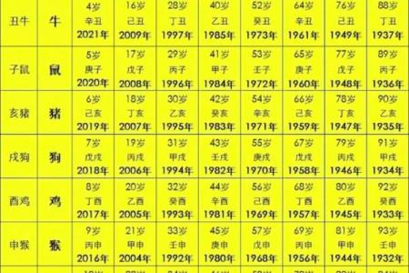 1949年出生属什么？揭秘这个年份的命运与性格特征！