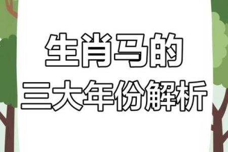 属相揭秘：娘娘命中注定的生肖与命运之谜