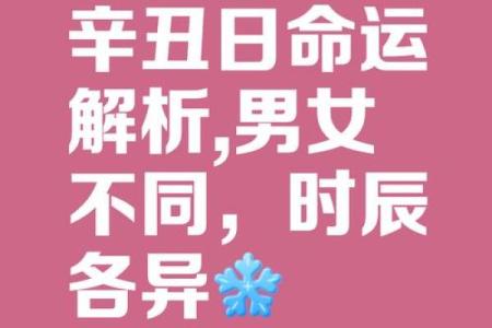 生于甲子日的人：命理揭秘与人生旅程