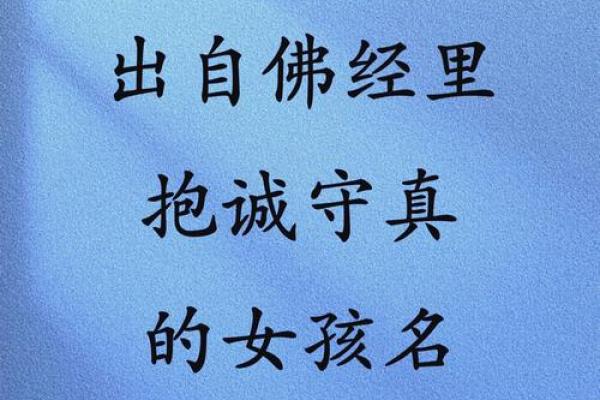 申命记：信仰与生活的指南，从历史中汲取智慧
