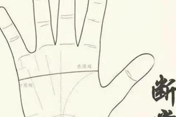 女人双手断掌纹的命运解析，揭开神秘面纱！